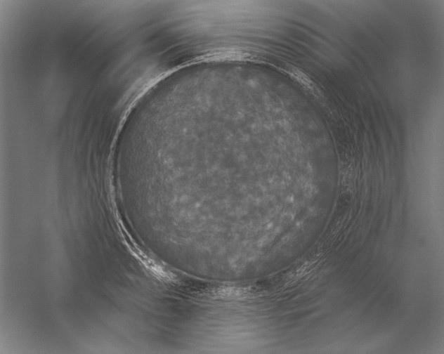 X0000056351086200509091550