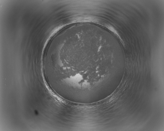 X0000056351088200509091550