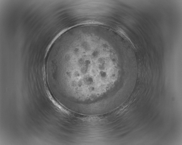 X0000056351092200509091550