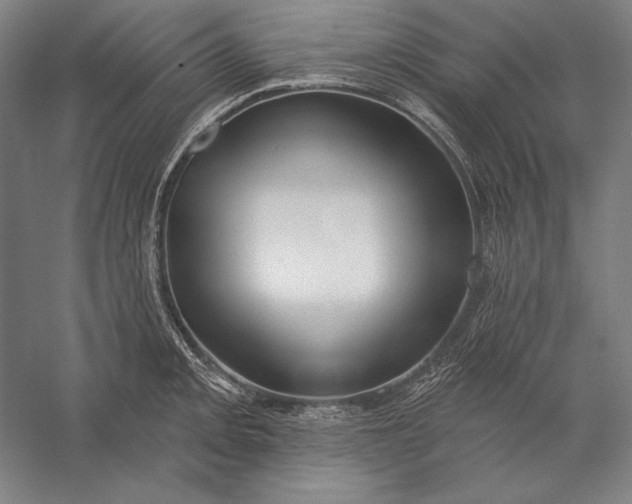 X0000056351093200509091550