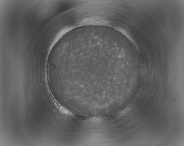 X0000056351094200509091550