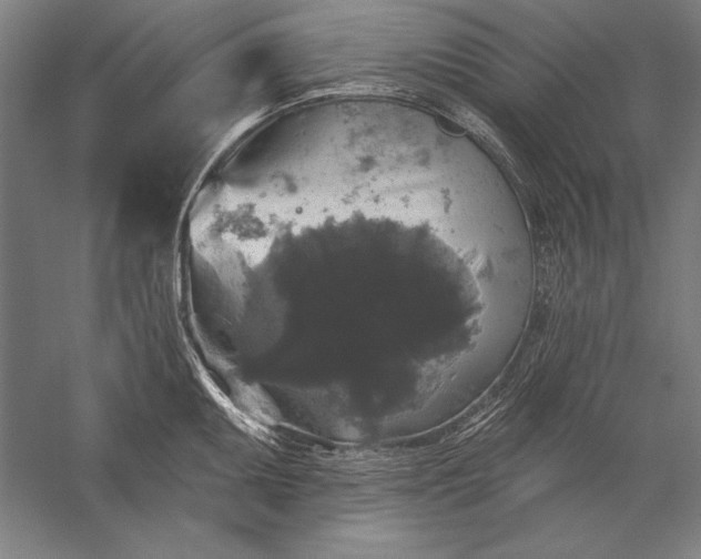 X0000056351095200509091550