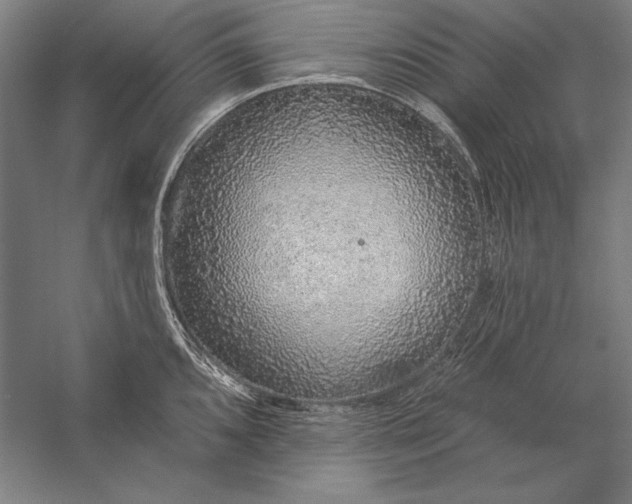 X0000056351096200509091550