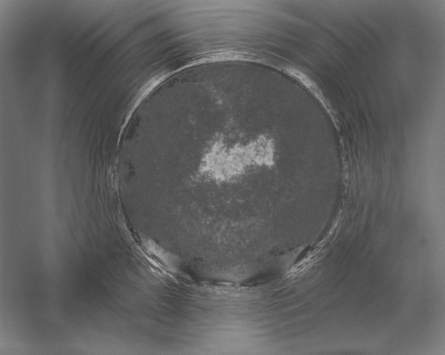 X0000056351097200509091550