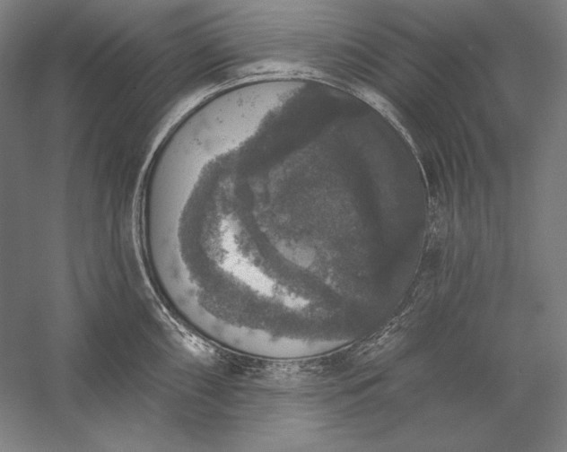 X0000056351098200509091550