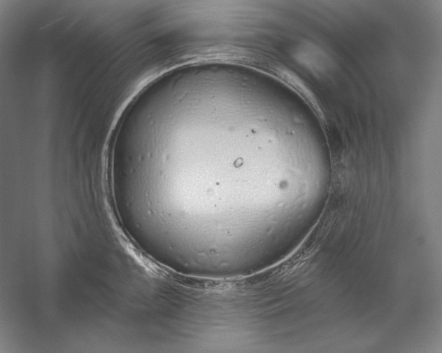 X0000056351099200509091550