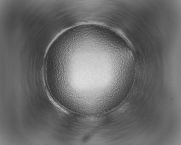 X0000056351100200509091550