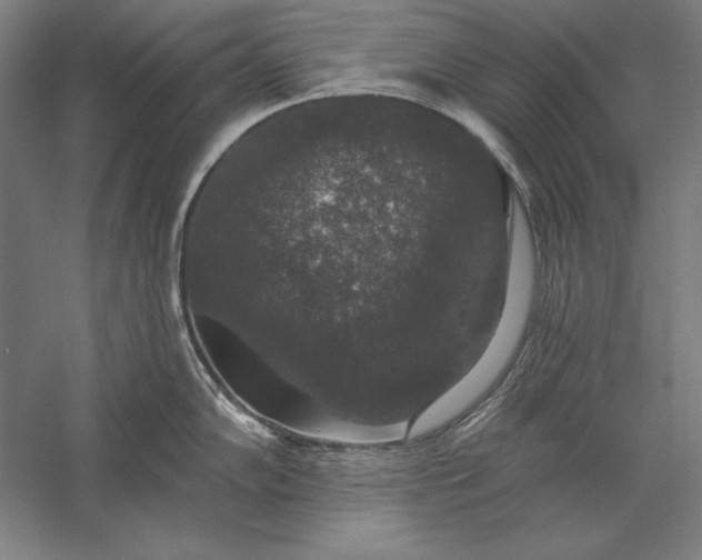 X0000056351102200509091550