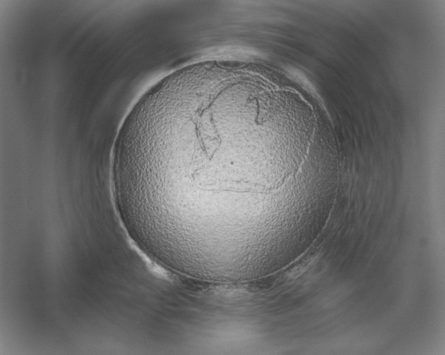 X0000056351103200509091550