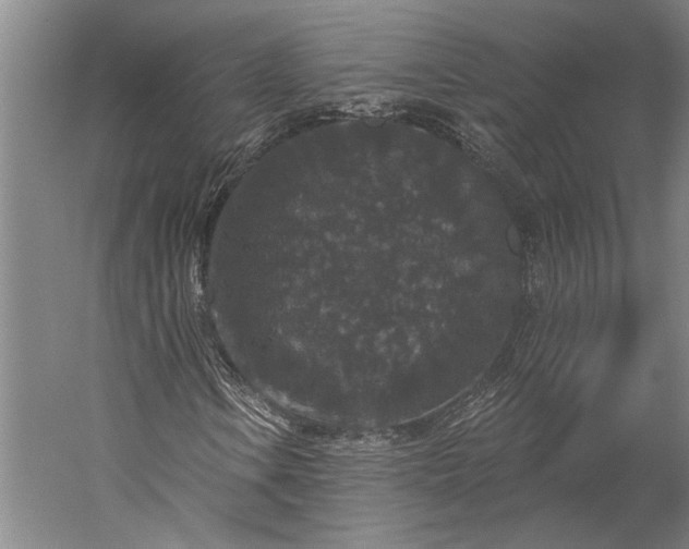 X0000056351106200509091549