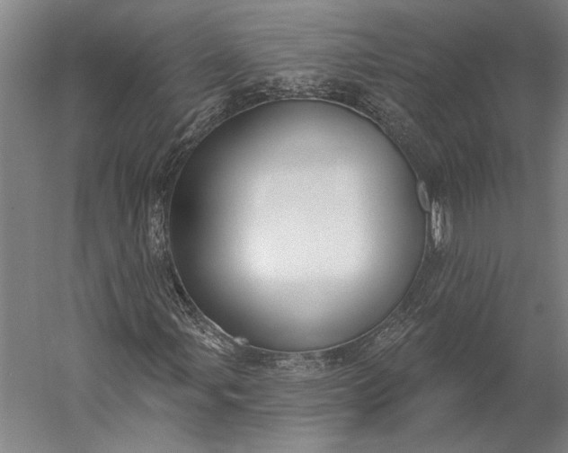 X0000056351107200509091549