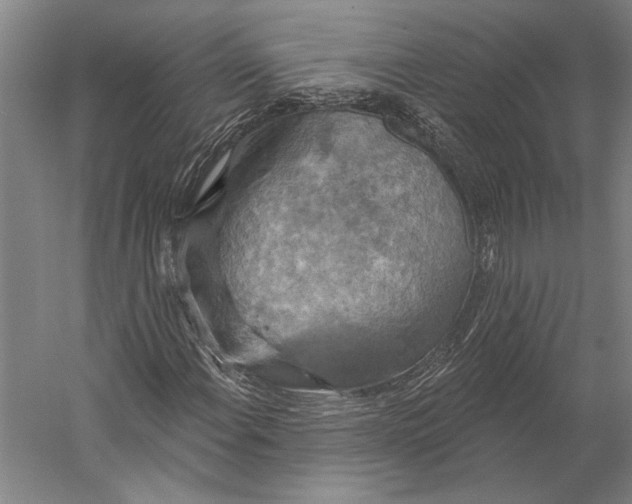 X0000056351108200509091549