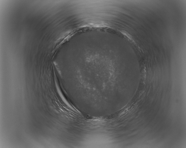 X0000056351110200509091549