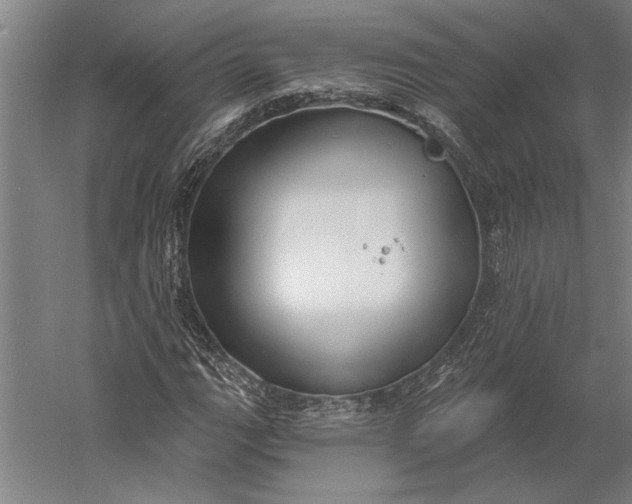 X0000056351111200509091549