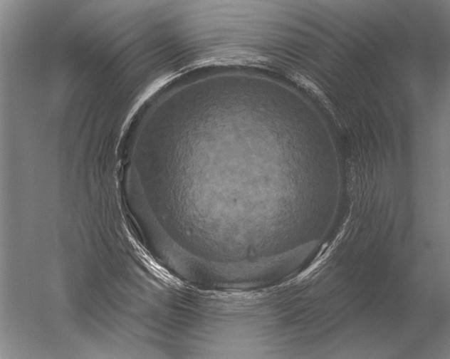 X0000056351114200509091549