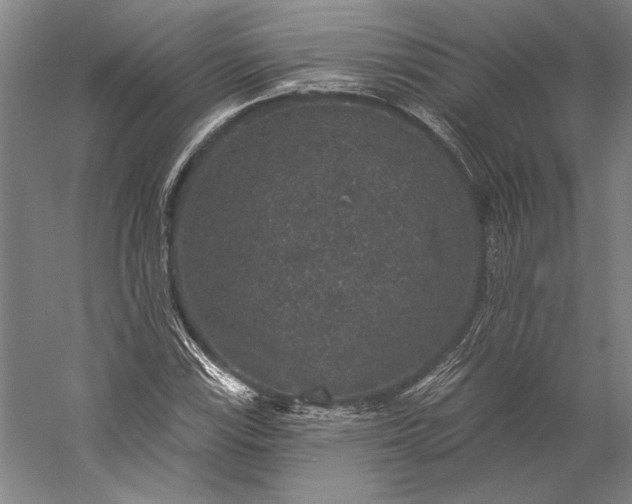 X0000056351115200509091549