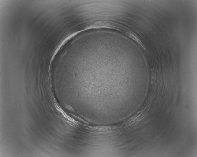 X0000056351116200509091549