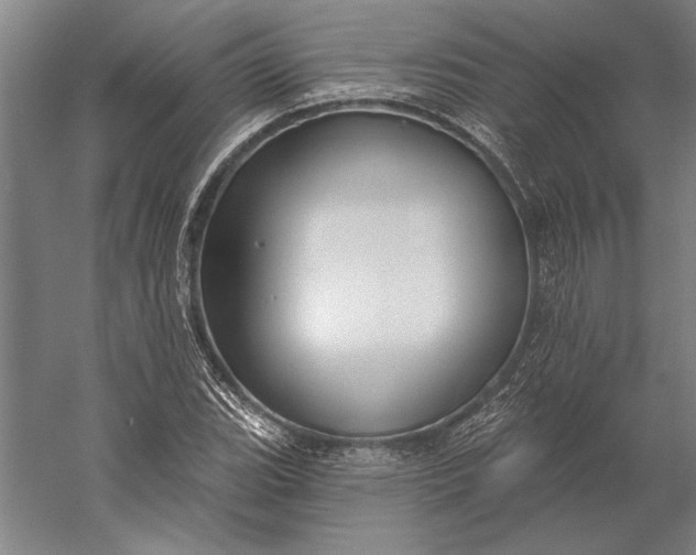 X0000056351119200509091549