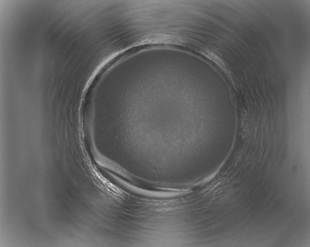 X0000056351120200509091549