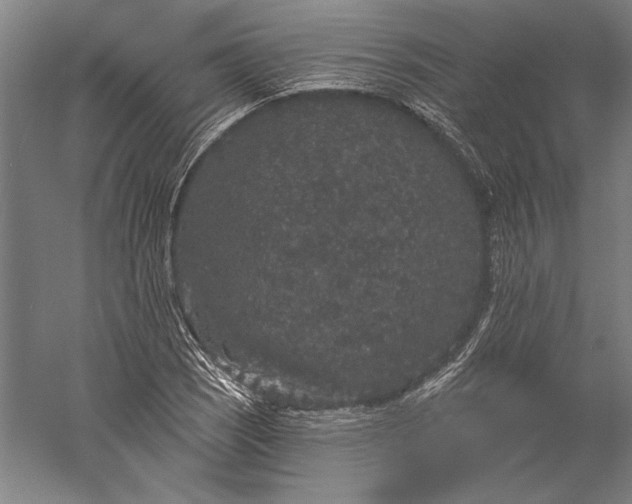 X0000056351121200509091549