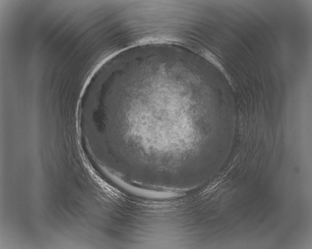 X0000056351124200509091549