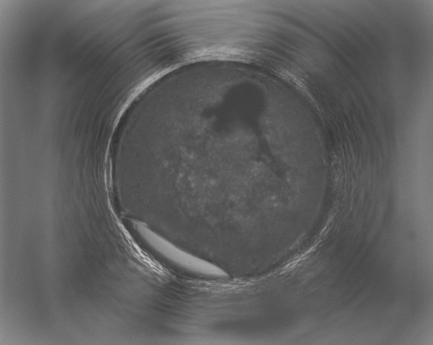 X0000056351125200509091549