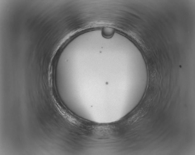 X0000056351126200509091549