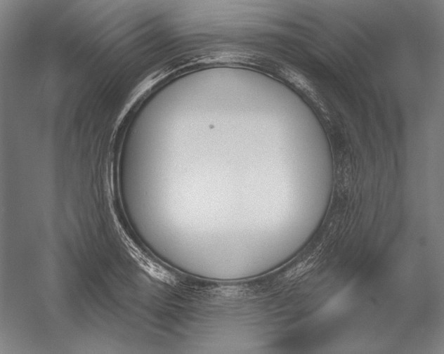 X0000056351130200509091549