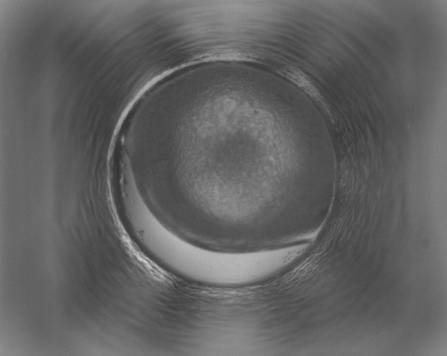 X0000056351132200509091549