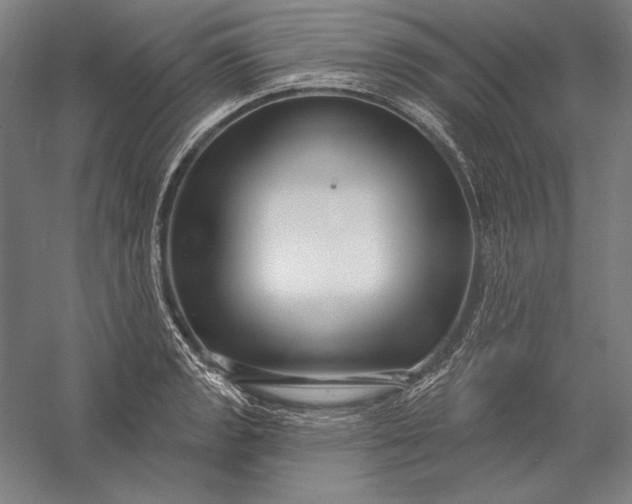 X0000056351133200509091549