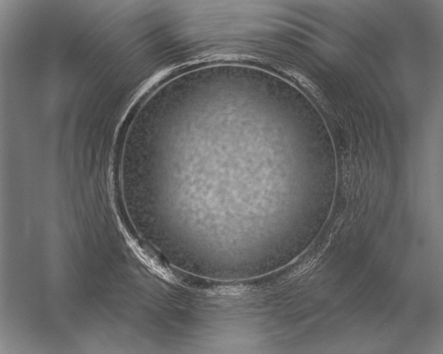 X0000056351134200509091549