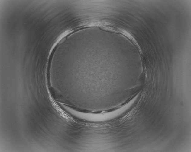 X0000056351138200509091549