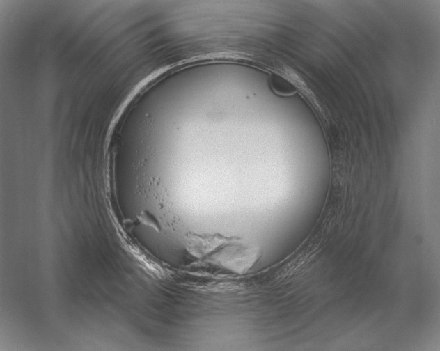 X0000056351140200509091549