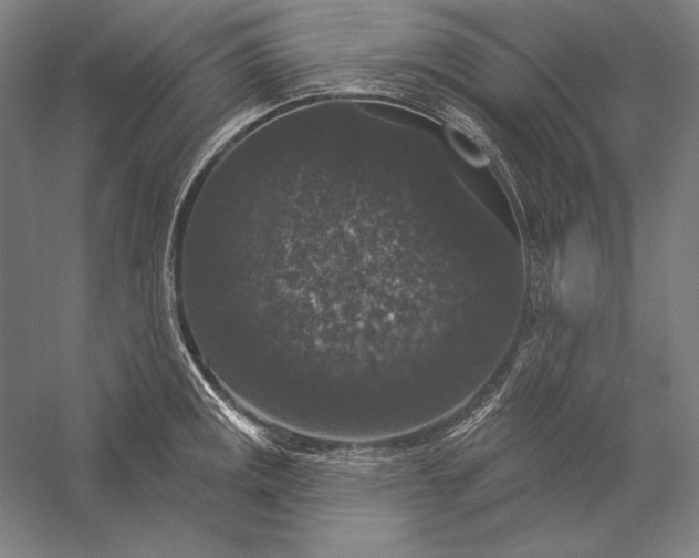 X0000056351141200509091549