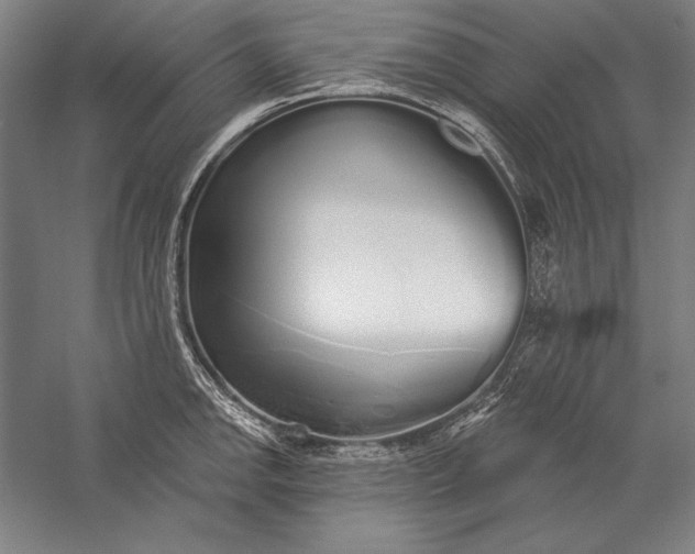 X0000056351142200509091549