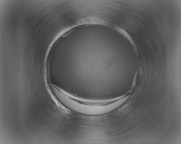 X0000056351144200509091549