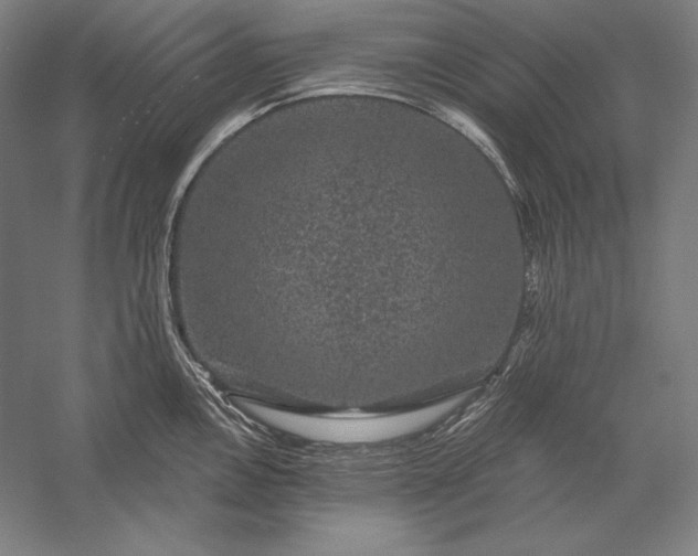 X0000056351146200509091549