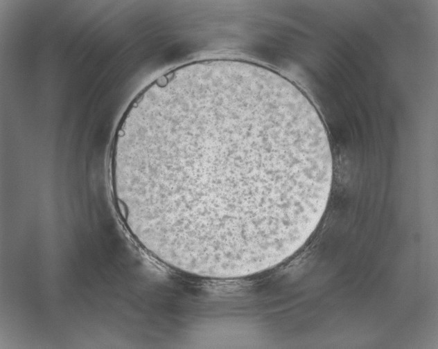 X0000056351150200509091550