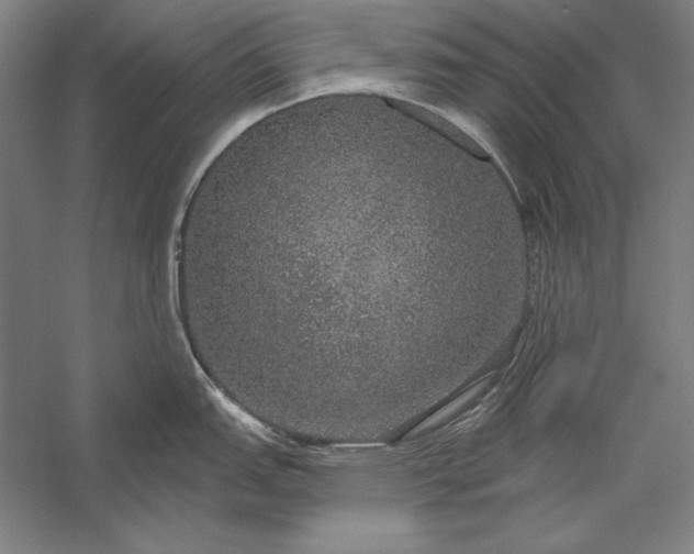 X0000056351151200509091550