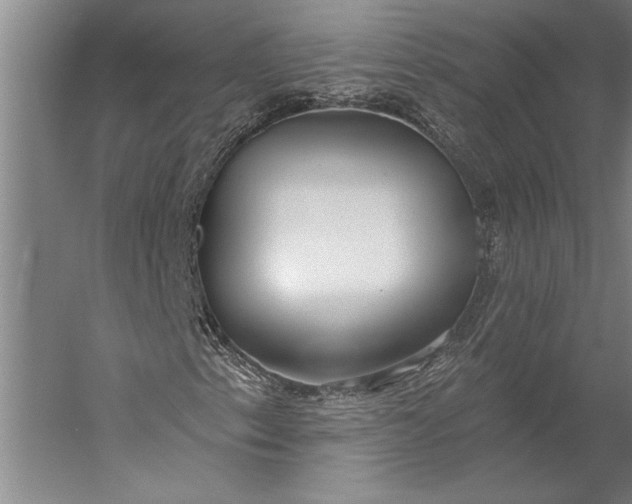 X0000056351153200509091549