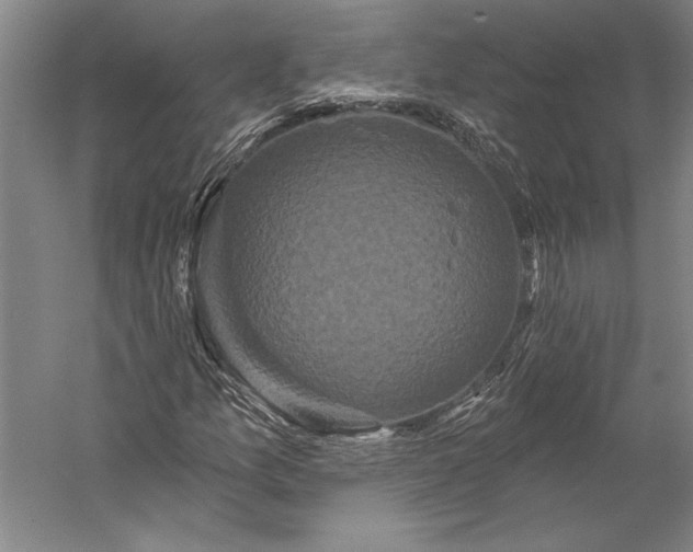 X0000056351157200509091549