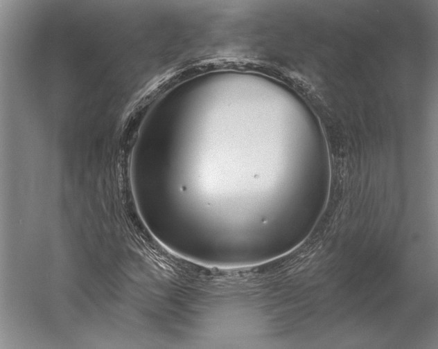 X0000056351159200509091549