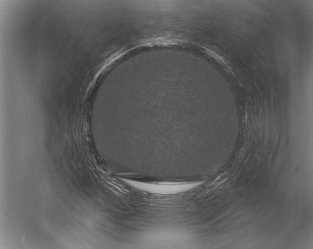 X0000056351160200509091549