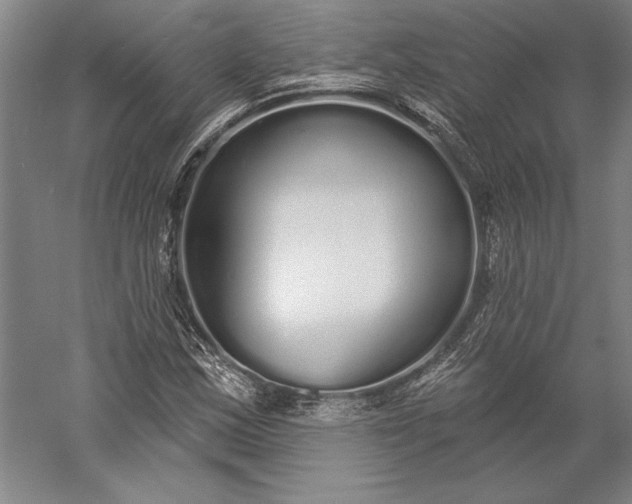 X0000056351163200509091549