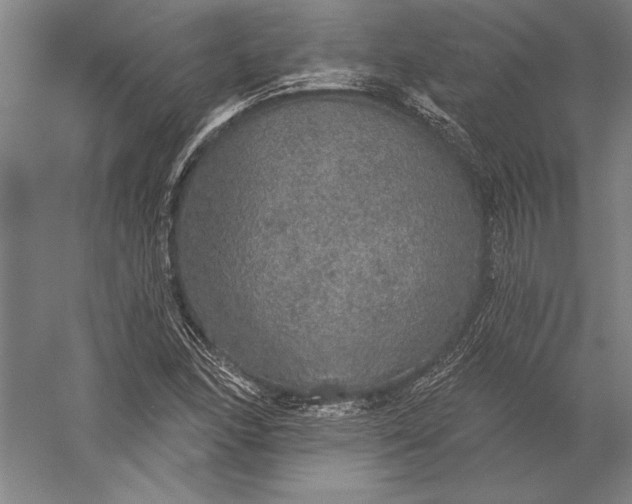 X0000056351166200509091549