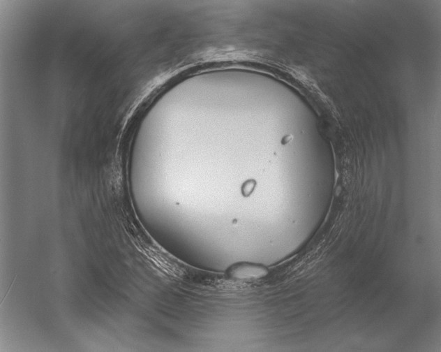 X0000056351167200509091549