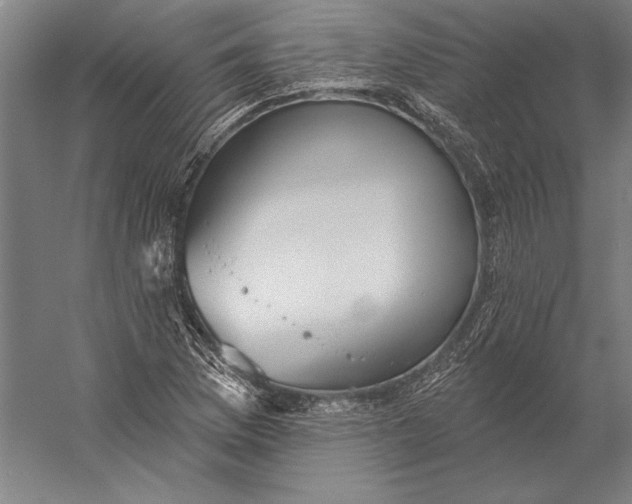 X0000056351169200509091548