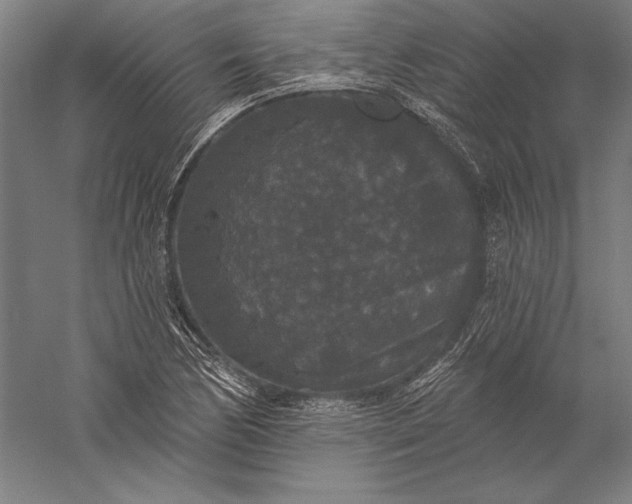 X0000056351170200509091548