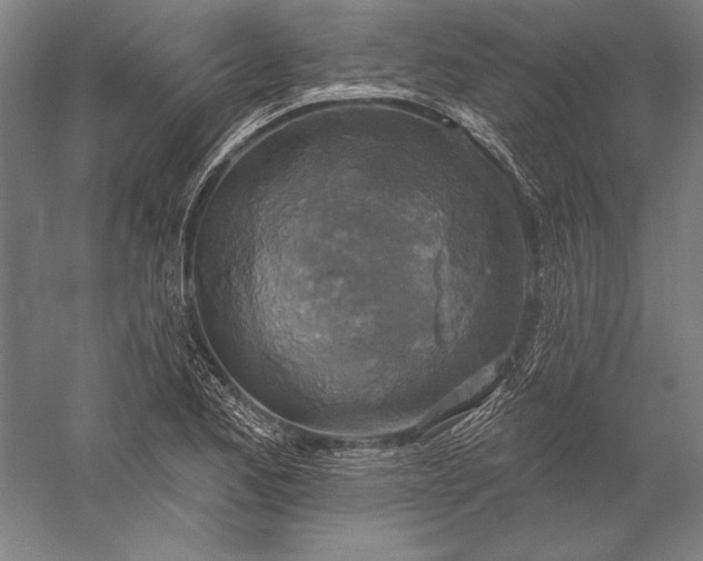 X0000056351173200509091548