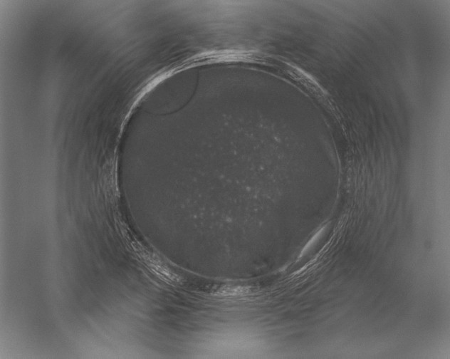 X0000056351174200509091548